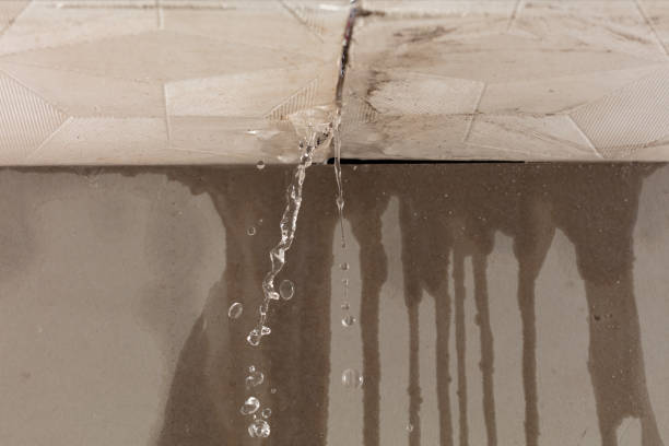 Professional Water Damage Inspection technician working in Pinckney, MI
